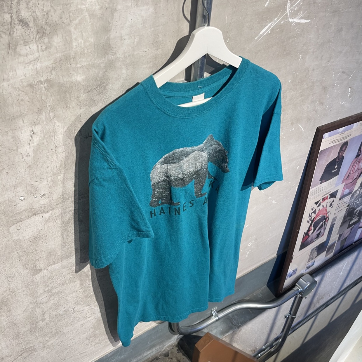 “GILDAN”「HAINES ALASKA」Vintage T-shirts