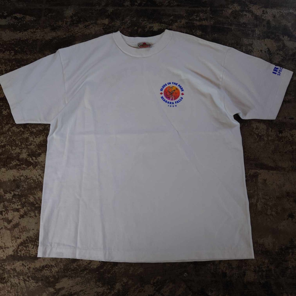 BLUES IN THE PARK イベントTシャツ 1999年製 カナダ製　 #和歌山古着