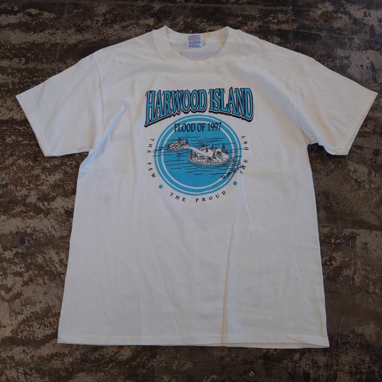 Hanes HARWOOD ISLAND プリントTシャツ　 #和歌山古着