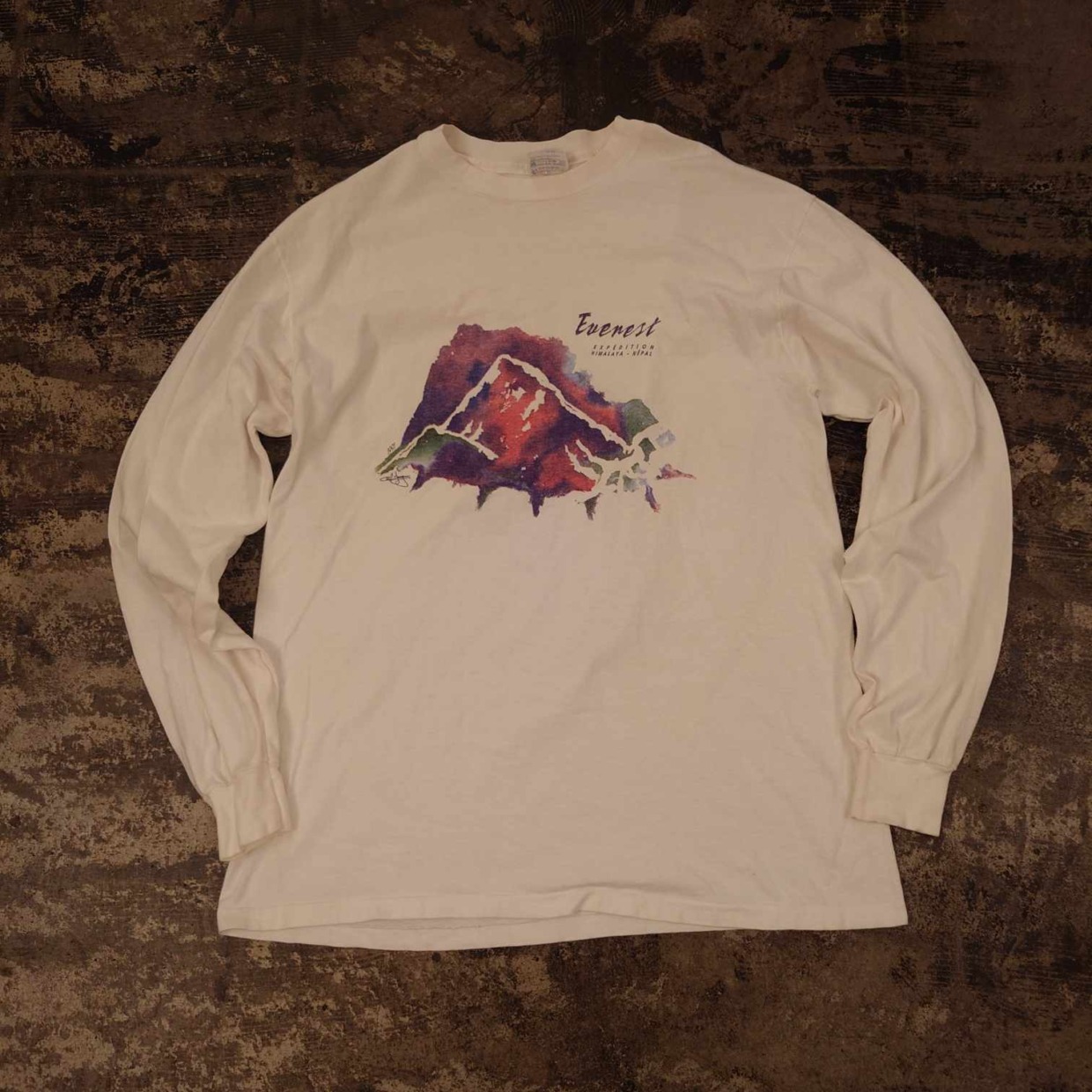 Hanes BEEFY-T USA製 エベレストプリント ロングスリーブT　 #和歌山古着