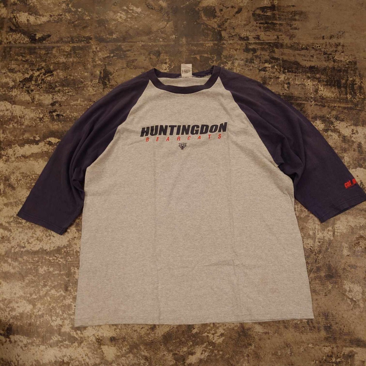 HUNTINGDON BEARCATS ラグランT　 #和歌山古着
