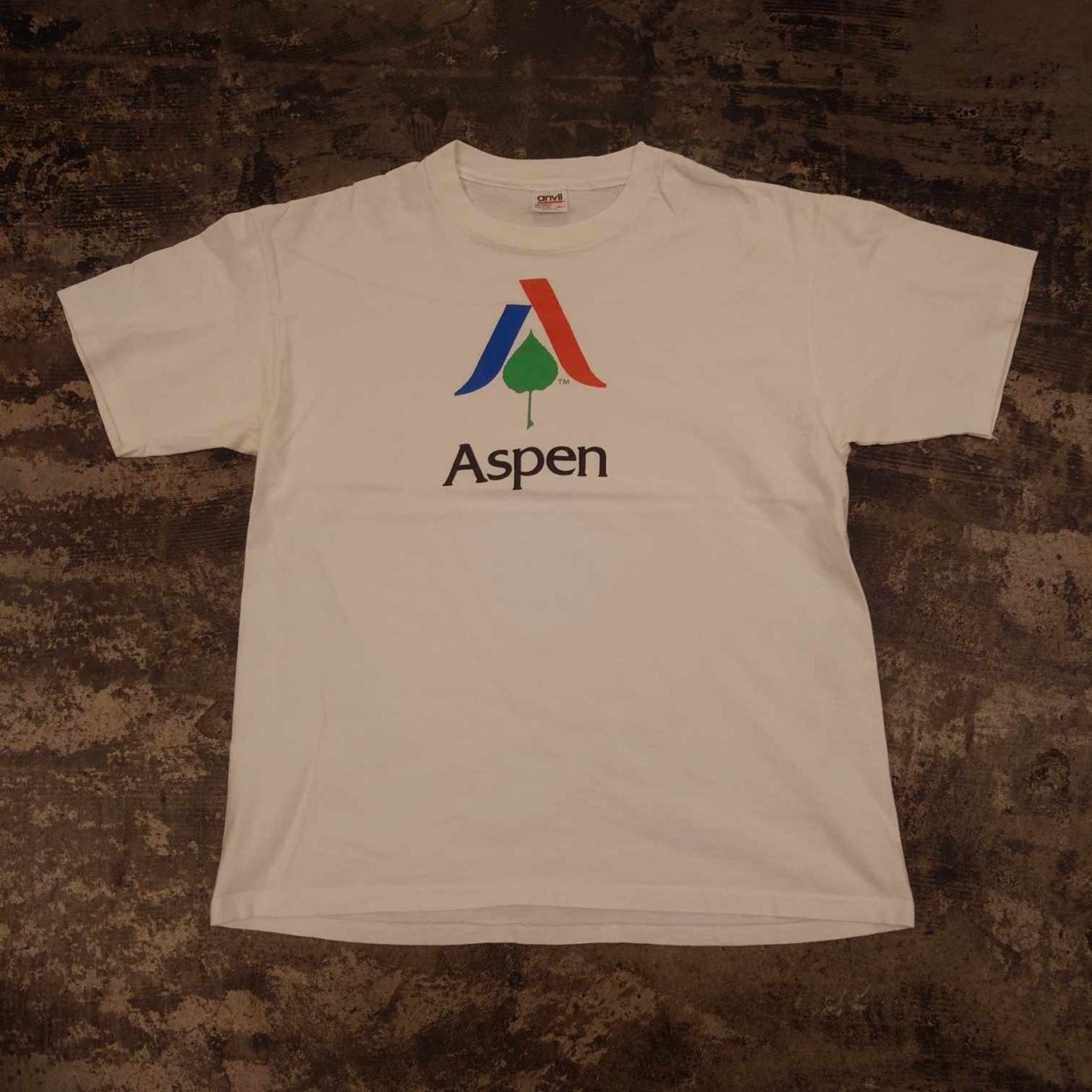 90s anvil Aspen 企業ロゴプリントTシャツ　 #和歌山古着