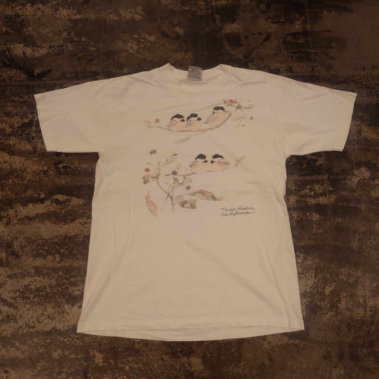 USA製 Dolphine Shirt Company 鳥プリントTシャツ　 #和歌山古着